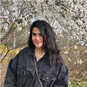 Doy clases de inglés a todo los niveles